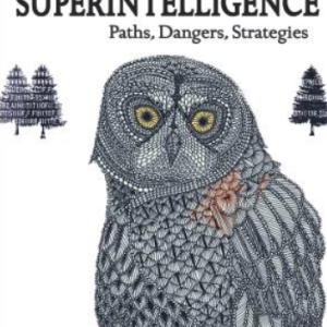 Superintelligence Paths Dangers Strategies.